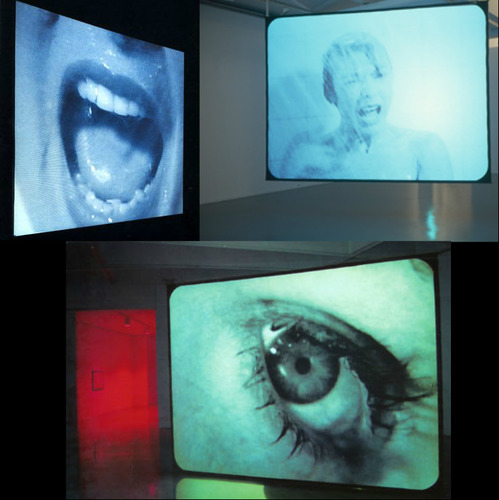Douglas Gordon 24 Hour Psycho